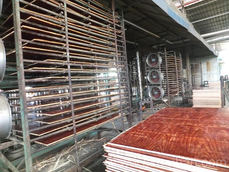 建筑工地模板多少錢一平方?都說這家價格實惠