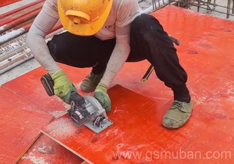 模板1830×920多少錢一張？多種規格報價