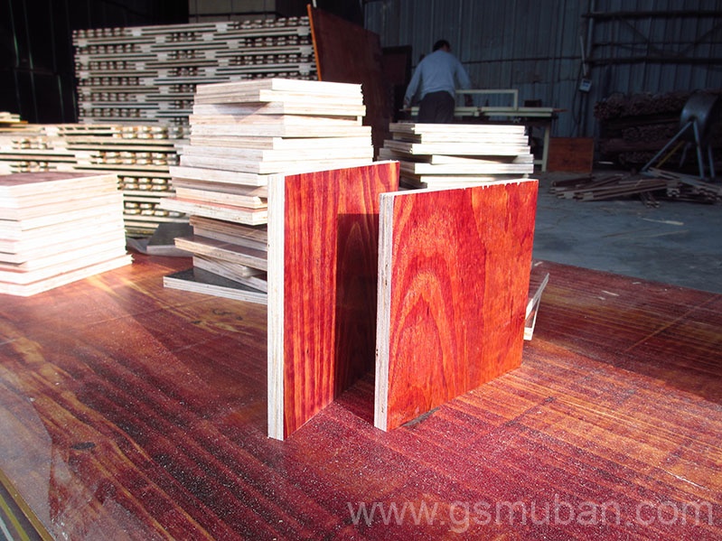 建筑模板廠家怎么選?10年采購經理的避坑秘籍 建筑模板廠家怎么選?10年采購經理的避坑秘籍